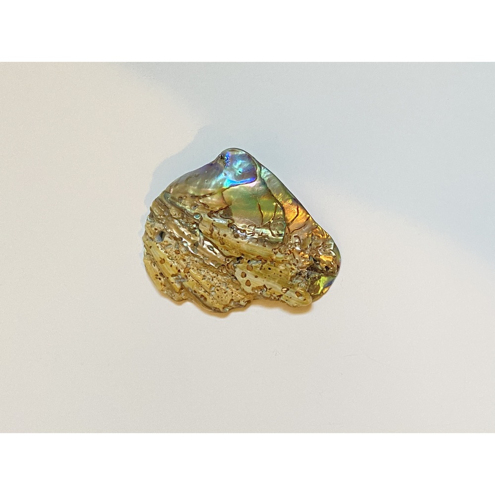 Vintage Abalone Shell Pendant Drilled Natural Iridescent Shell Bead